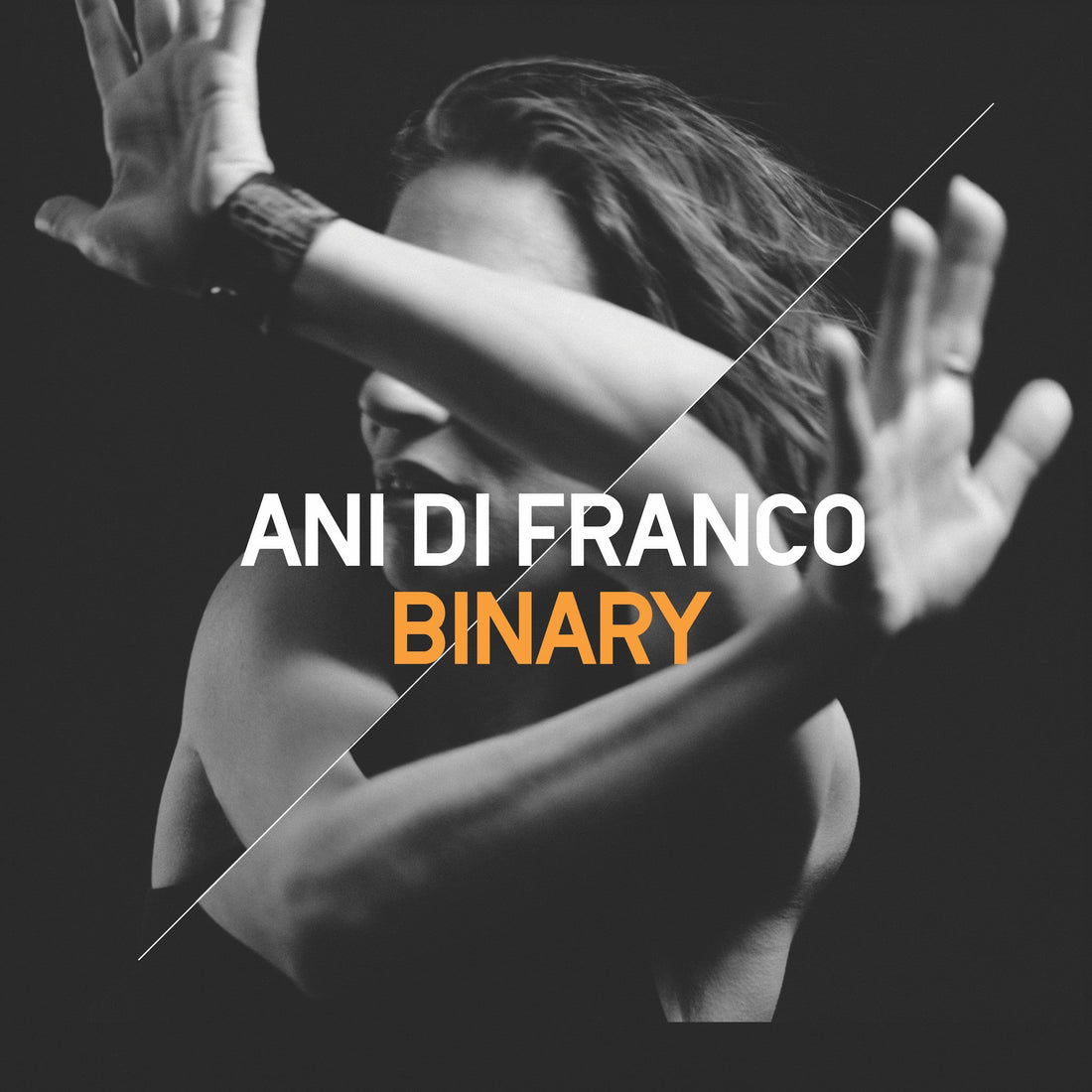 Ani's new album BINARY coming June 9 - pre-order on PledgeMusic today!