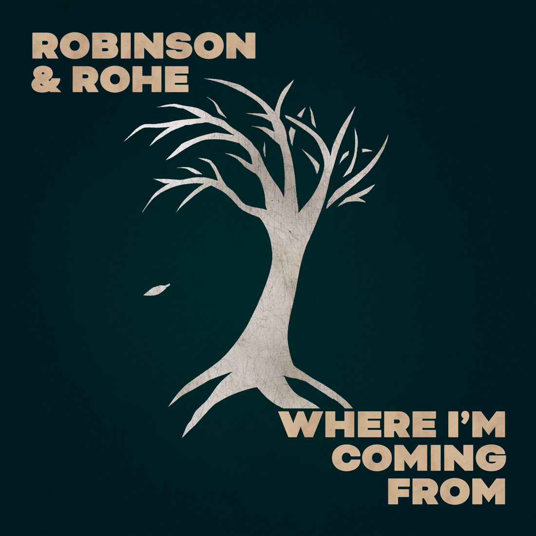 Robinson & Rohe's second single "Where I'm Coming From" out now