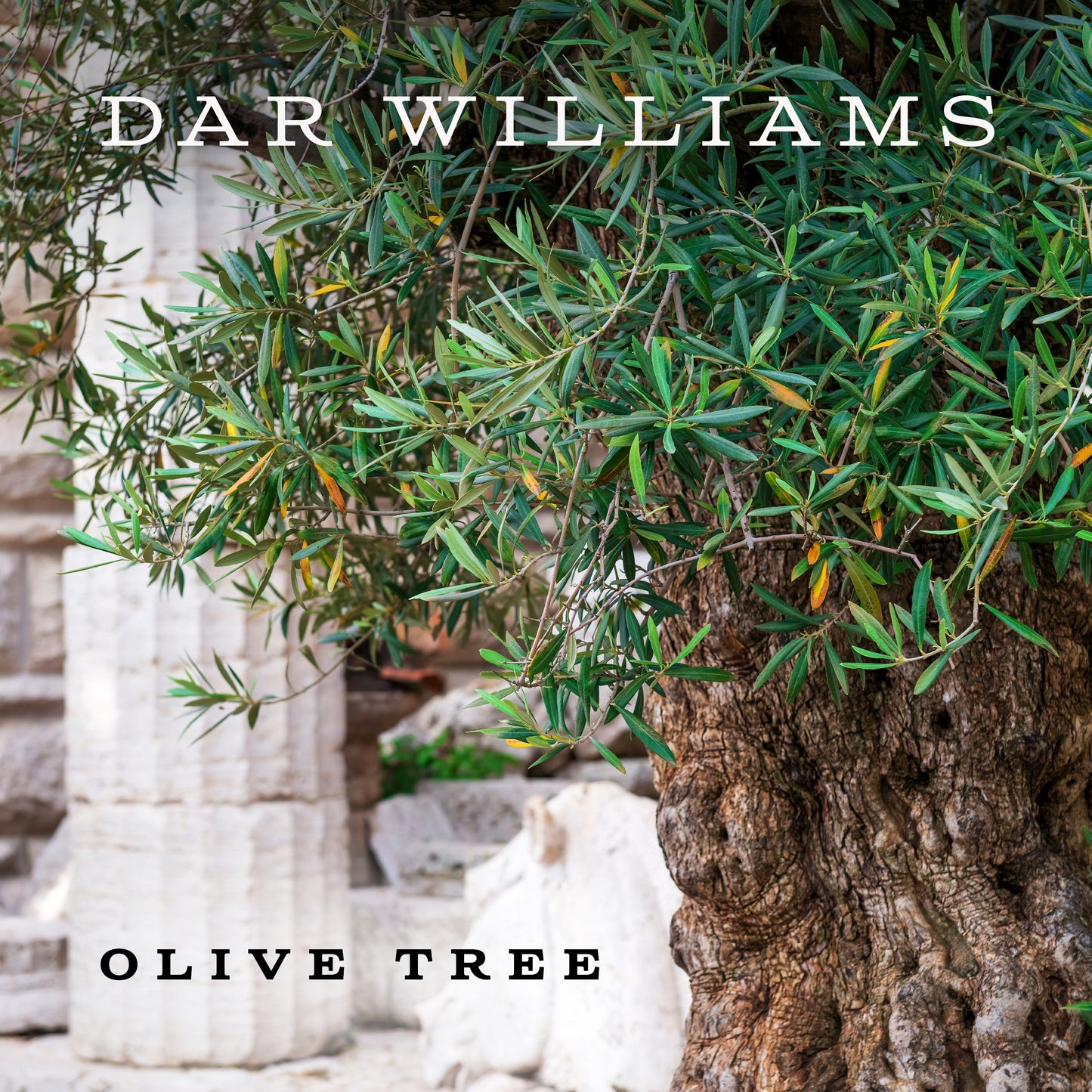 Dar Williams - Olive Tree (Single)